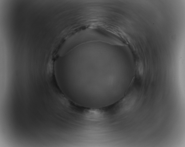 X0000088850475200706151720