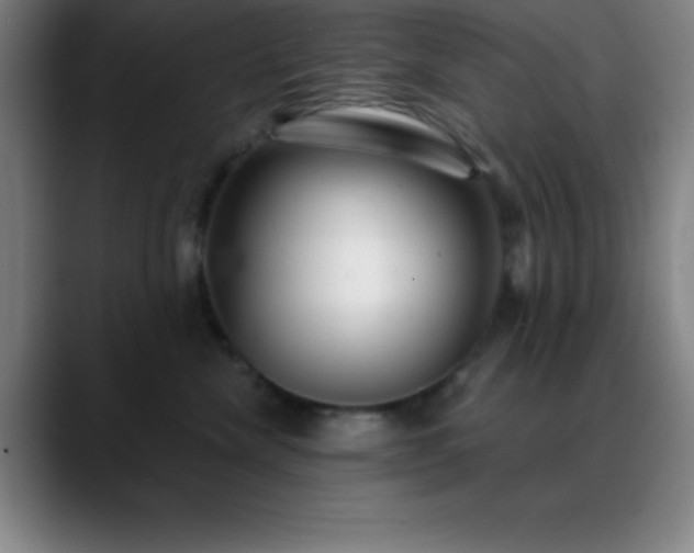 X0000088850476200706151720