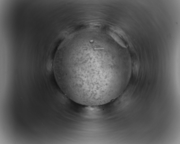 X0000088850477200706151720