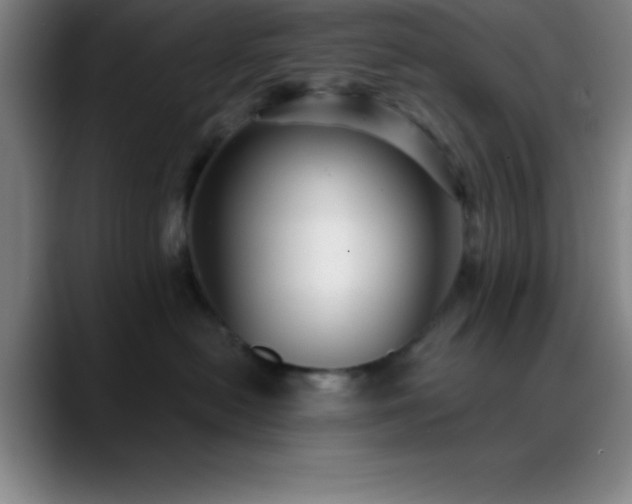 X0000088850478200706151720