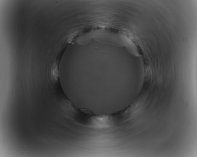 X0000088850479200706151720