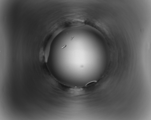 X0000088850480200706151720