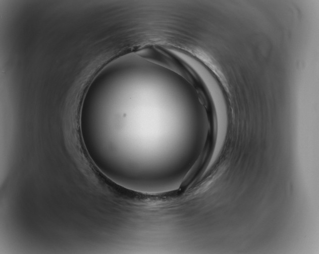 X0000088850481200706151720