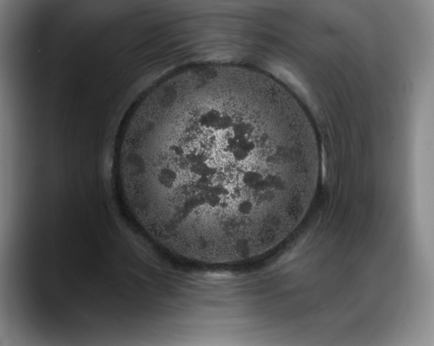 X0000088850483200706151720