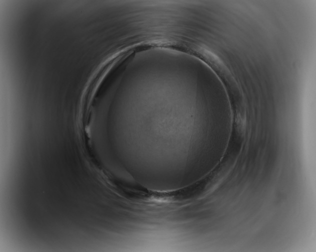 X0000088850484200706151720