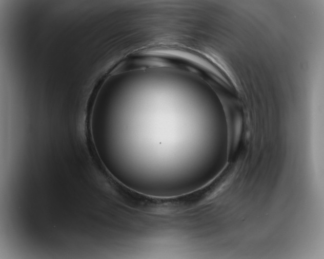 X0000088850485200706151720