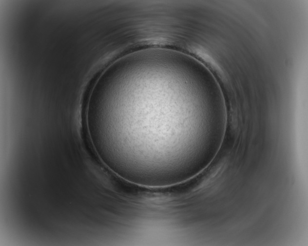 X0000088850486200706151720