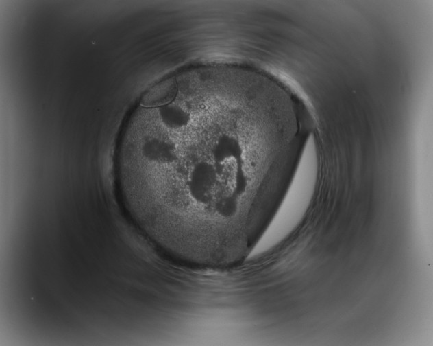 X0000088850487200706151720