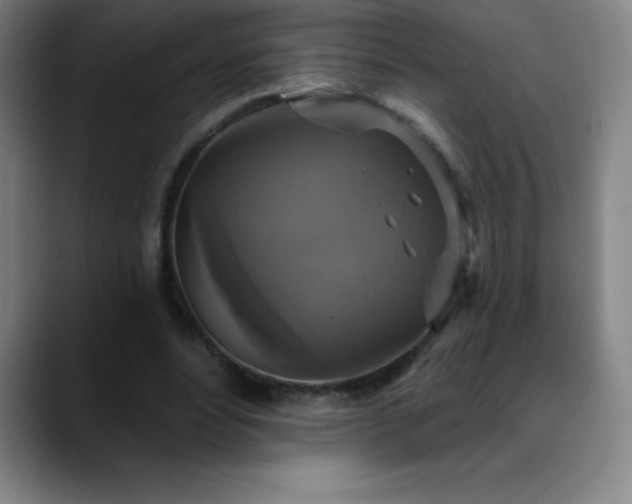 X0000088850488200706151720