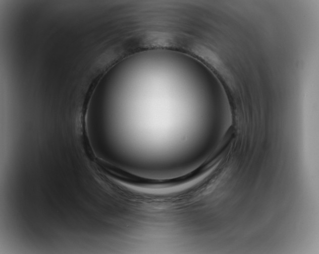 X0000088850489200706151720