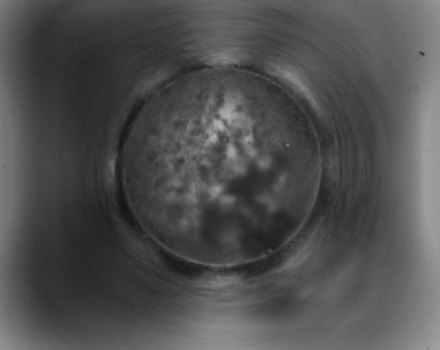 X0000088850491200706151720