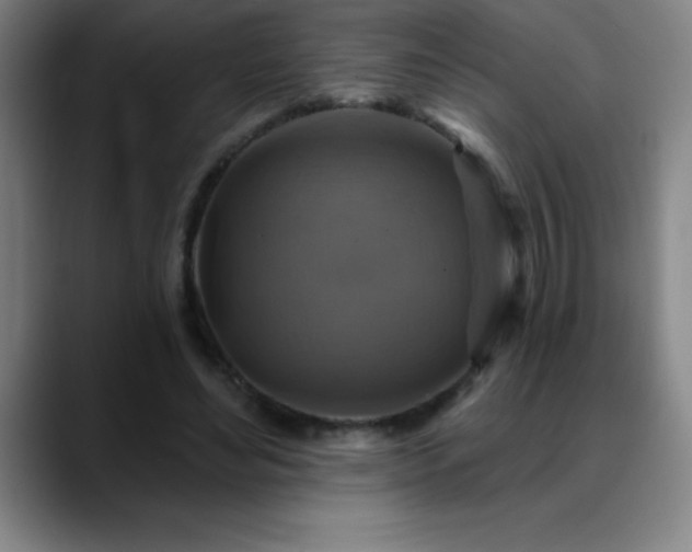 X0000088850492200706151720