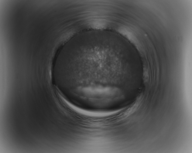 X0000088850493200706151720