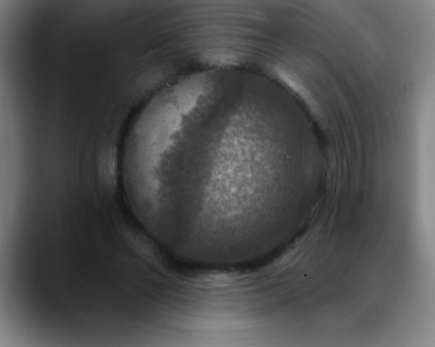 X0000088850494200706151720