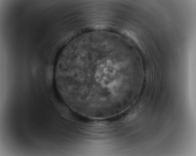 X0000088850495200706151720