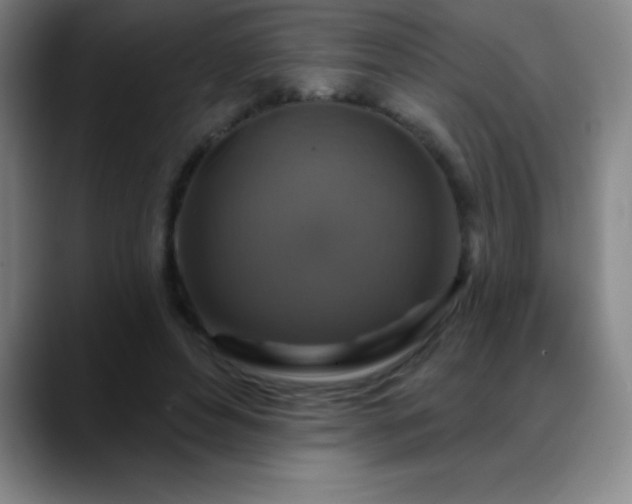 X0000088850496200706151720