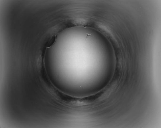 X0000088850498200706151720