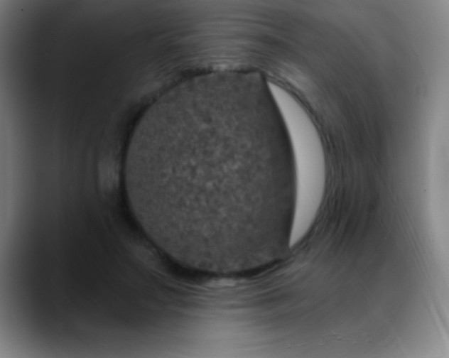 X0000088850499200706151720