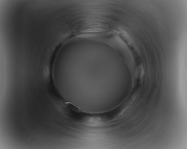 X0000088850500200706151720