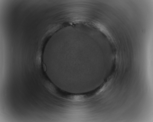 X0000088850501200706151720