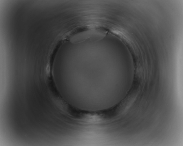 X0000088850502200706151720