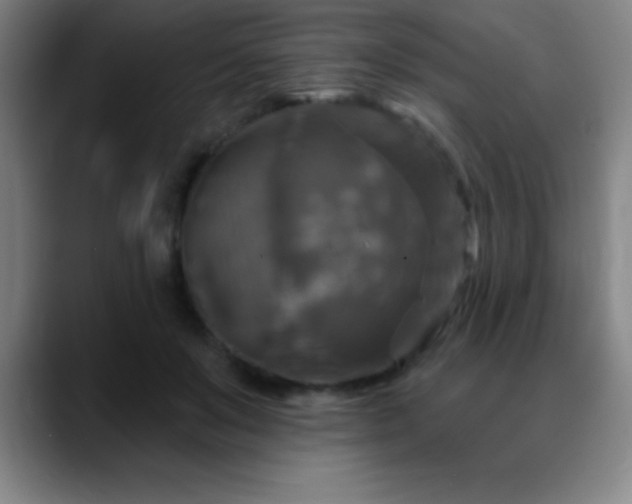 X0000088850503200706151720