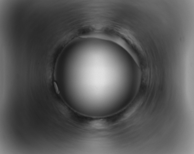 X0000088850505200706151720