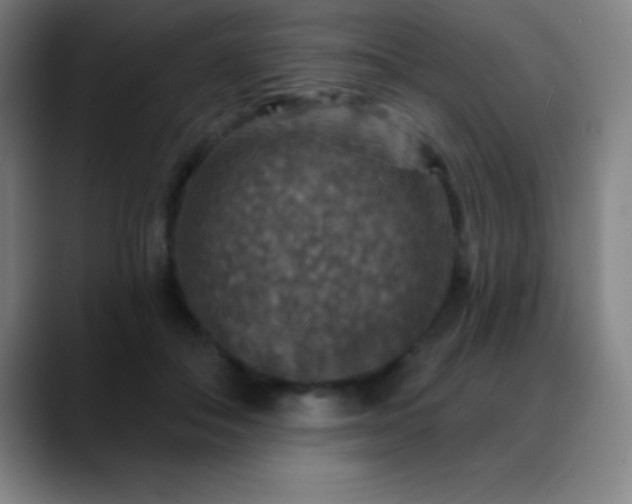 X0000088850506200706151720