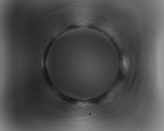 X0000088850508200706151719