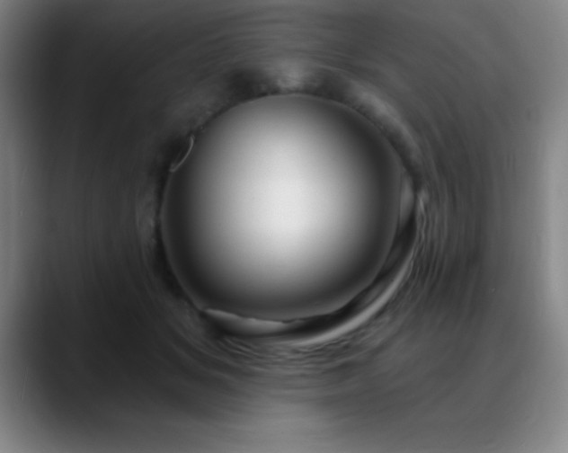 X0000088850509200706151719