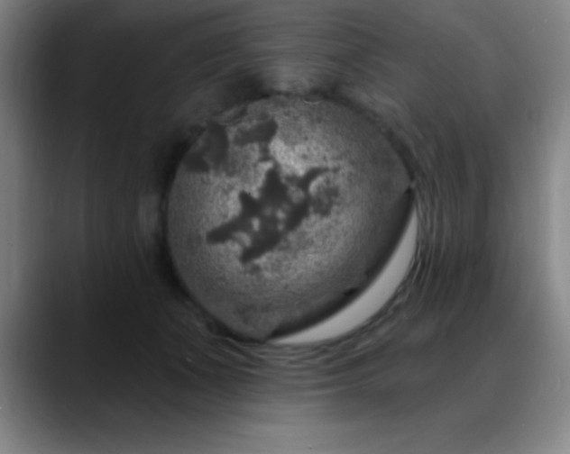 X0000088850511200706151719