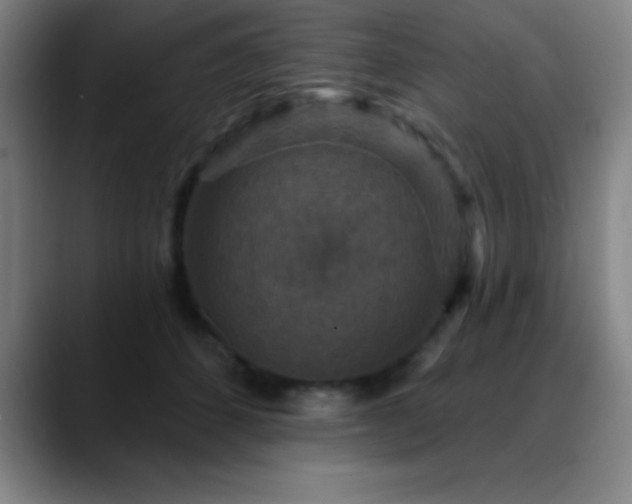 X0000088850512200706151719