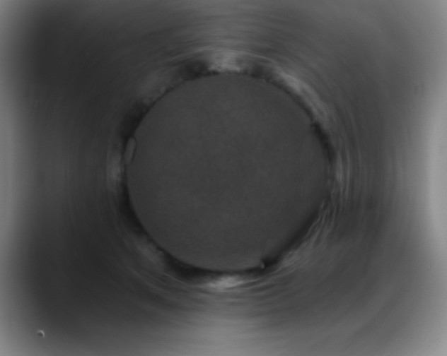 X0000088850513200706151719