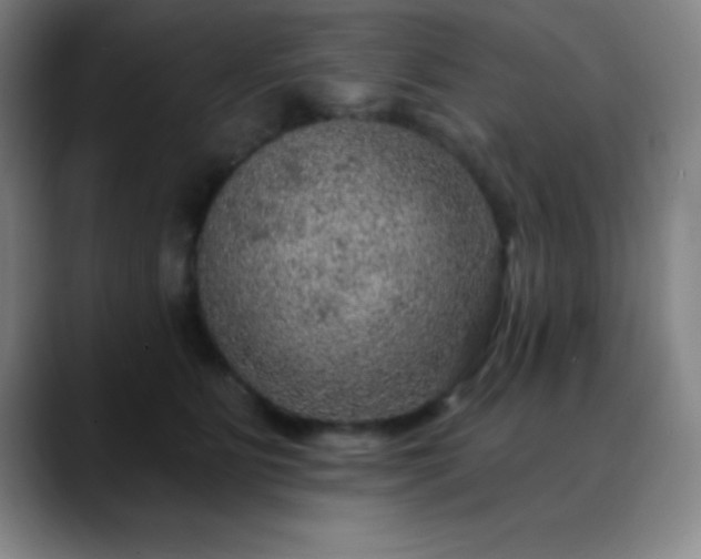 X0000088850515200706151719