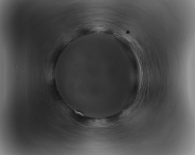 X0000088850517200706151719