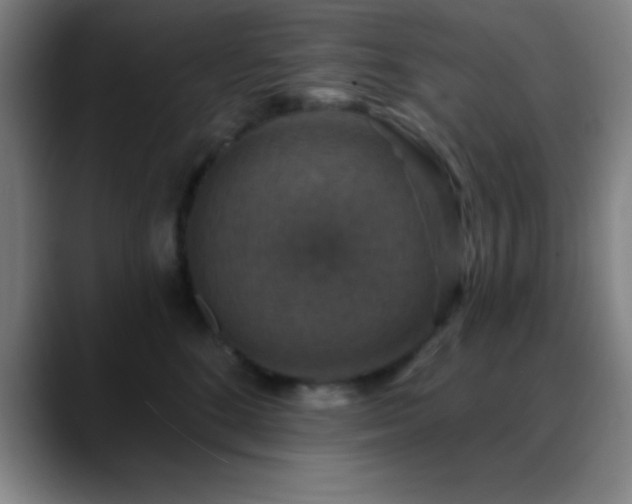 X0000088850520200706151719