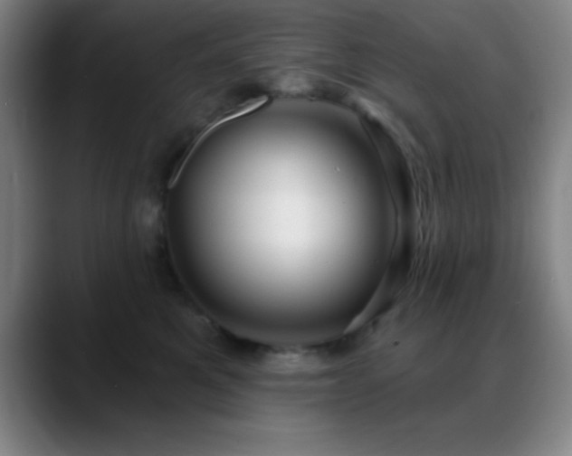 X0000088850521200706151719