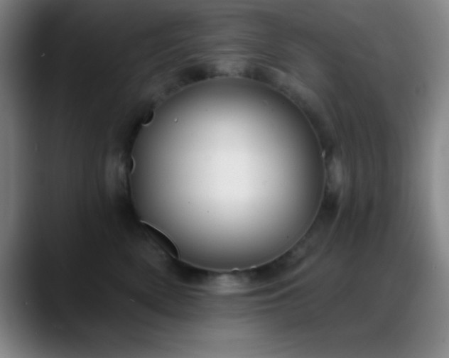 X0000088850522200706151719