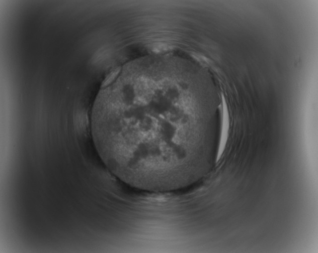 X0000088850523200706151719