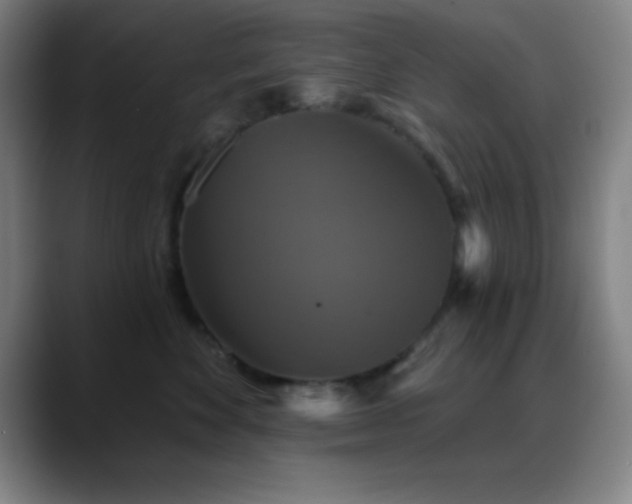 X0000088850524200706151719