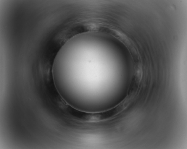 X0000088850525200706151719