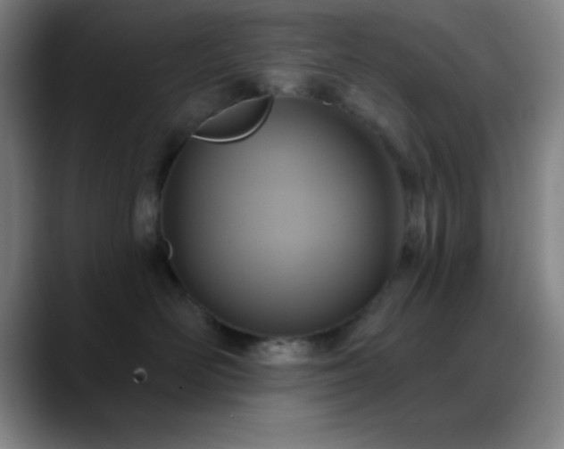 X0000088850526200706151719