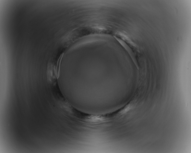 X0000088850528200706151719