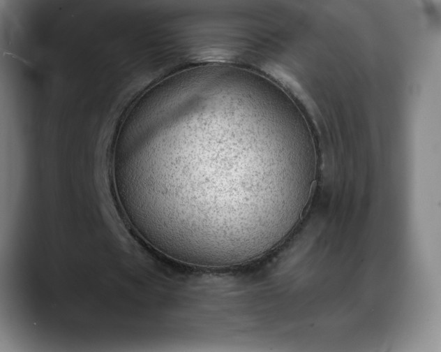 X0000088850529200706151719