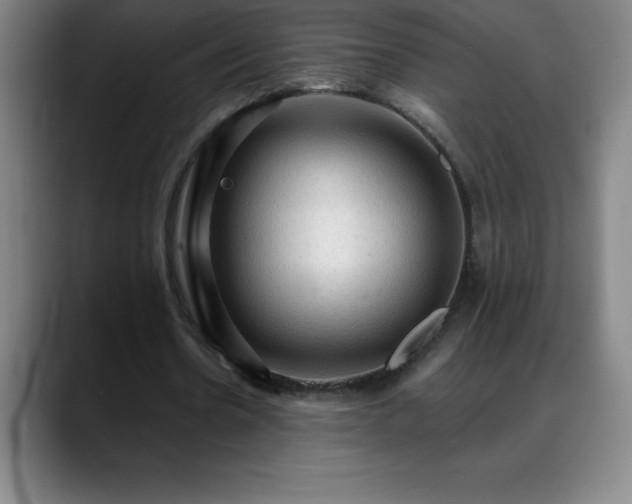 X0000088850530200706151719