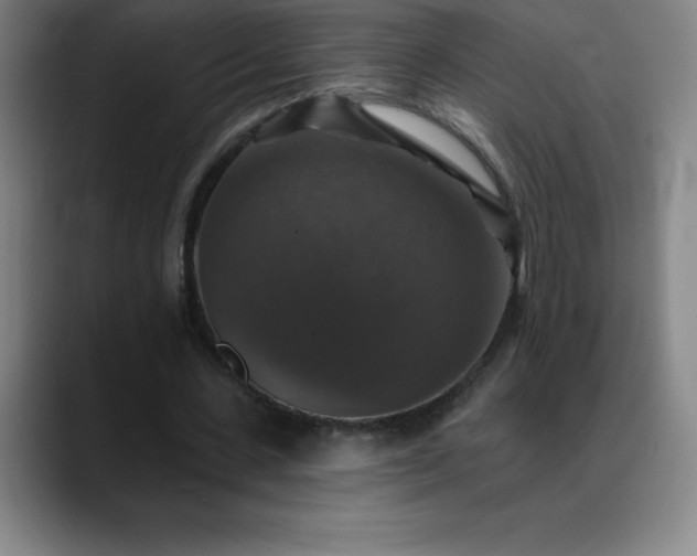 X0000088850531200706151719