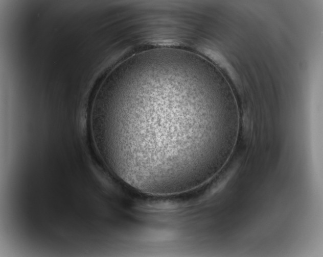 X0000088850533200706151719