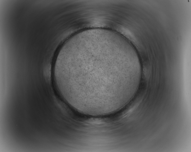 X0000088850534200706151719