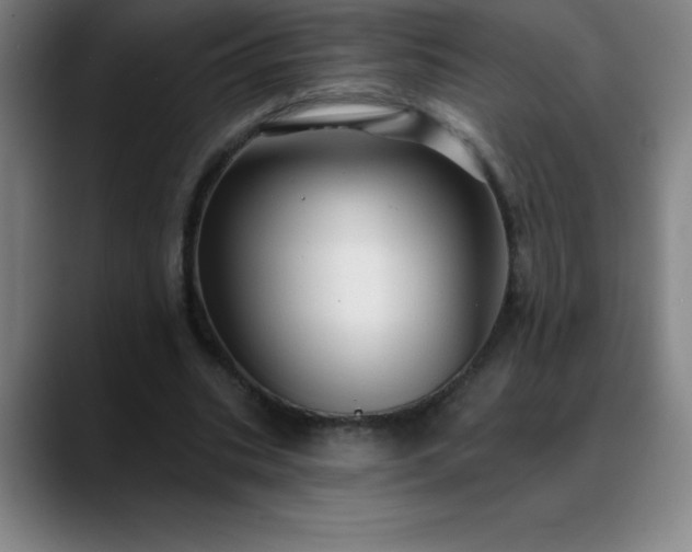 X0000088850535200706151719