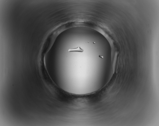 X0000088850536200706151719